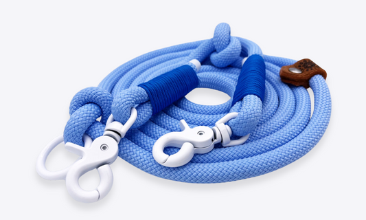 Verstelbare en handsfree 8 in 1 hondenriem Touw - 🧊 ijs