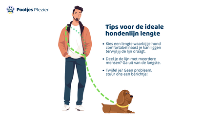 Touw hondenlijn - Zonnebloem