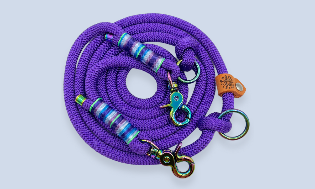 Verstelbare en handsfree 8 in 1 hondenriem Touw - 🔮 Mystiek