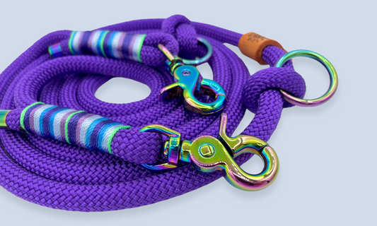 Verstelbare en handsfree 8 in 1 hondenriem Touw - 🔮 Mystiek