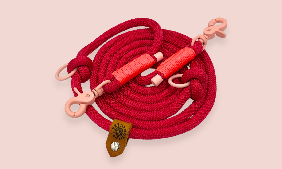 Hondenriem; rood met roze