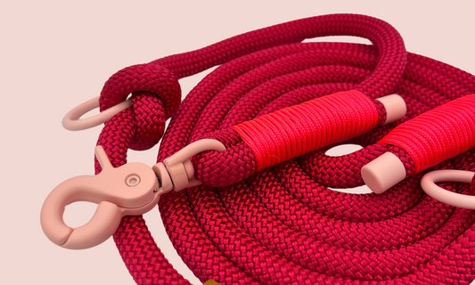 Verstelbare en handsfree 8 in 1 hondenriem Touw - ❤️ Passie