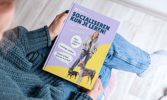 Socialiseren kun je leren! (PDF)