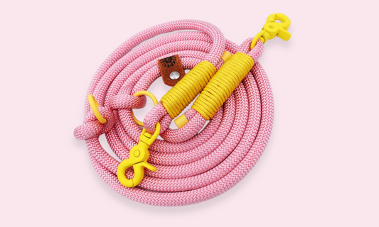 Verstelbare en handsfree 8 in 1 hondenriem Touw - 🍬 Spekjes