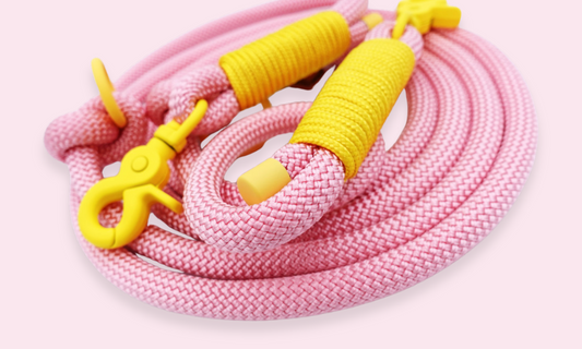 Verstelbare en handsfree 8 in 1 hondenriem Touw - 🍬 Spekjes