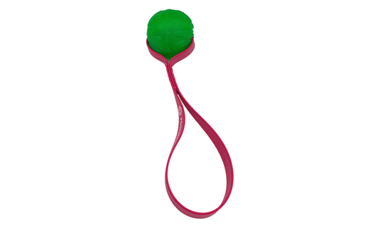 Interactief hondenspeelgoed – Starmark Chewball met BioThane handvat voor werpen en trekken