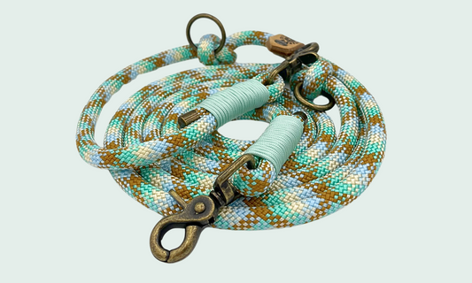 Verstelbare en handsfree 8 in 1 hondenriem Touw - 🏖️ Strand