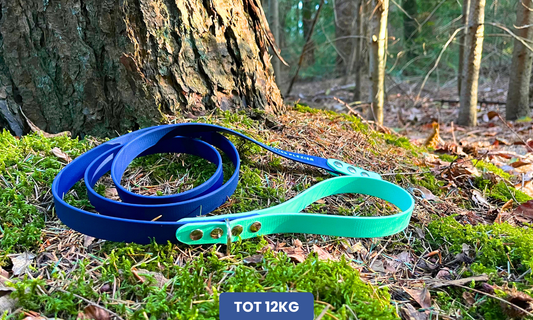 PawTex hondenriem met handvat | Tot 12kg