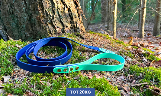 PawTex hondenriem met handvat | Tot 20kg