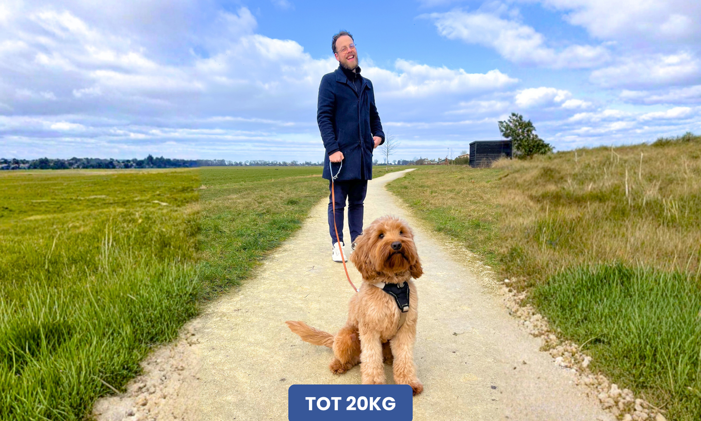 Man met hondenriem met handvat en een hond zit voor hem.