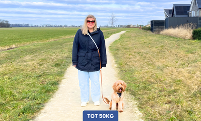 Handsfree multifunctionele PawTex hondenriem | Tot 50kg