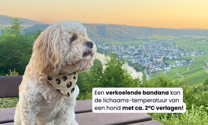 Verkoelende Hondenbandana | Blijft uren nat - met elastieken band