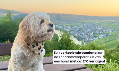 Verkoelende Hondenbandana - allerlei varianten