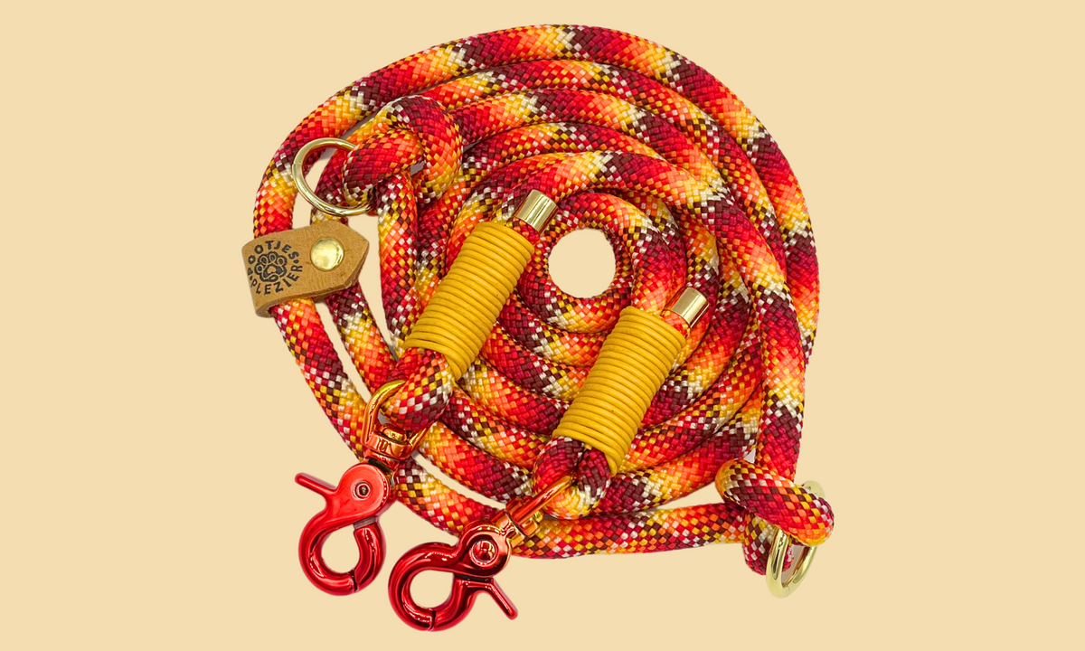 🔥 Vuur - Handsfree hondenriem 250cm - tot 20kg