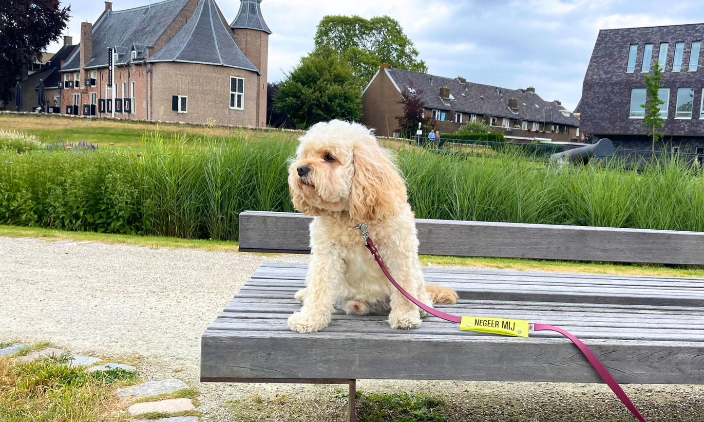 Waarschuwingslabel voor hondenriem