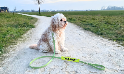 Waarschuwingslabel voor hondenriem