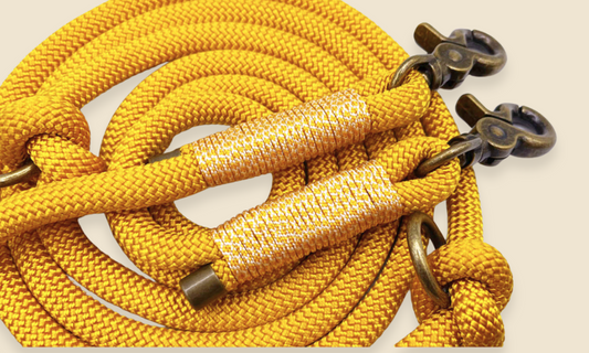 Verstelbare en handsfree 8 in 1 hondenriem Touw - 🌻 Zonnebloem